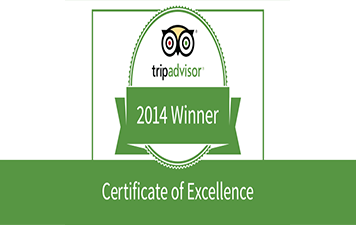 tours reviews