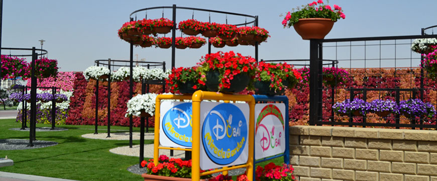 dubai miracle garden