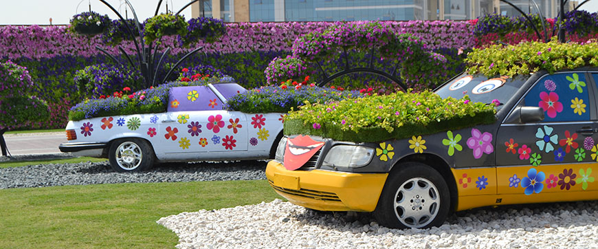 miracle garden dubai