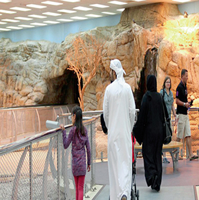Sharjah-desert-park-zoo-tour