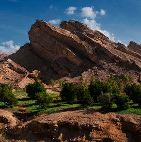 al-ain-tour