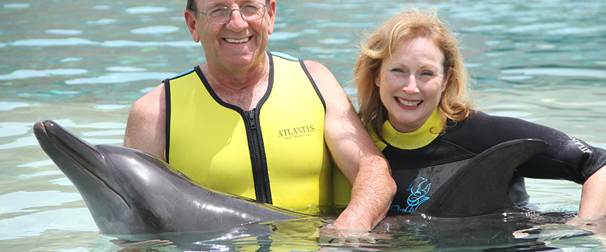 dubai swimming with dolphin tour